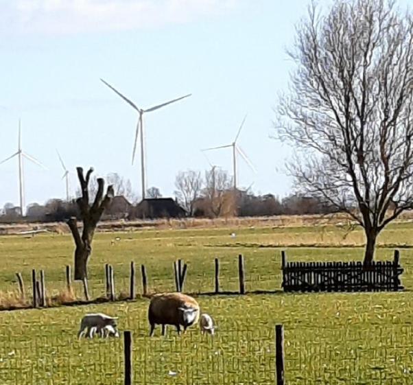 Tuinhuis Hébergement de vacances